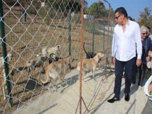 Başkan Kocadon, Alman Hayvanseverlerle Bakım Evini Ziyaret Etti