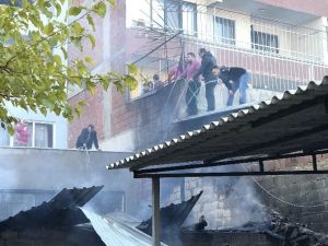 Aydın’da Apartman Sakinleri Yangını Hortumlarla Söndürdü