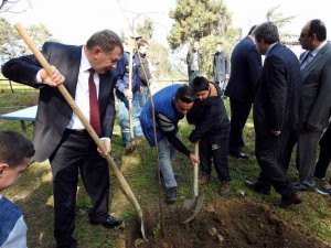 Üniversite Bahçesini Çiçeklendirdiler