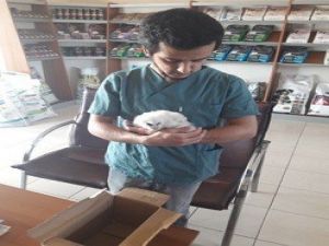 Marmaris’te Yaralı Kuşlar Milli Parkta Hayat Buluyor