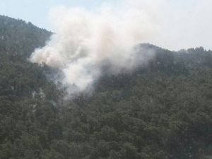 Milas’ta Orman Yangını