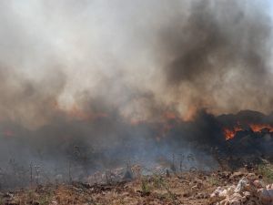 Aydın’da Çöplük Yangınları Korkutmaya Başladı