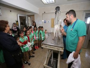 Dünya Hayvanları Koruma Günü Öğrencilerle Kutlandı