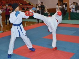 Karate İl Şampiyonası Tamamlandı