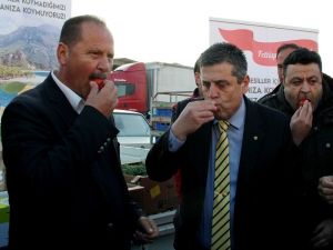 Fethiyeli Çiftçiler ’Hormon’ İddialarına Domatesi Yıkamadan Yiyerek Tepki Gösterdi