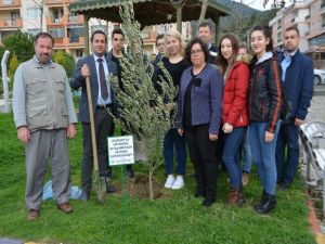 Söke’de Afrin Şehitlerinin Anısına Zeytin Fidanı Dikildi