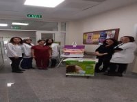 Köşk Devlet Hastanesi Kansere Dikkat Çekti