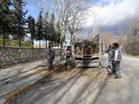 10 Metrelik Kavak Ağacı Minibüsün Üzerine Devrildi