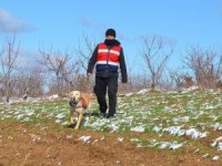 4 Gündür Kayıp Şahsı Arama Çalışmaları Sürüyor