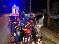 Anne Öldü Bebekleri Hayata Tutundu