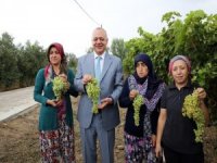 Üretici İçin Hazırlanan Yatırım Ödül Aldı