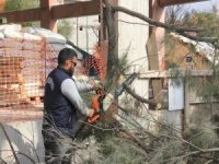 Çiğli Belediyesinden 10 Binlik Rekor