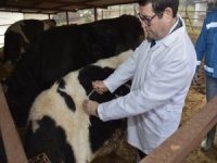 Menteşe’de 2020 Aşılama Kampanyası Başlatıldı