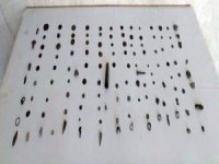 Sikke, Yüzük, Mızrak Uçları Ele Geçirildi