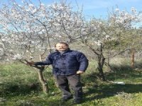 İzmir’de Badem Ağacı Çiçek Açtı