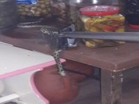 Fethiye’de İtfaiyeden Yılan Yakalama Operasyonu