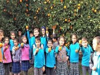 Portakalla Kurulan Kardeşlik Köprüsü Şırnak’a Ulaştı