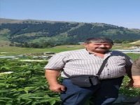 Traktör Altında Kalan Adam Olay Yerinde Hayatını Kaybetti