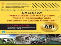Sorunlar Ve Çözüm Önerileri Çalıştayı Başlıyor