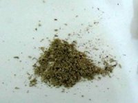 Manisa’da Uyuşturucu Operasyonu: 1 Tutuklama