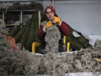 Orman Çöplerini Dekoratif Ürün Yapıp Dünyaya İhraç Ediyorlar