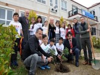 Çeşmeli Öğrenciler Sakız Ağacı Dikti