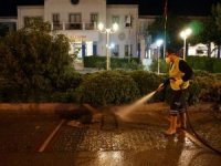 Bodrum Sokakları Köşe Bucak Dezenfekte Ediliyor