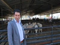 Aydın İl Genelinde Hayvan Pazarları Kapatıldı