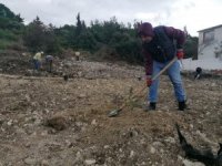 Ormana Yapılan Kaçak Binaların Yerine 200 Fidan