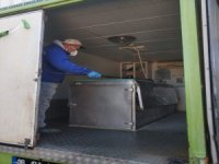 Oraca’da Korana Virüsle Mücadele İçin Dezenfekte Çalışmalarına Devam Ediyor