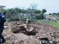 Koca Ağacı Söküp Hazine Arayan Defineciler Yakalandı