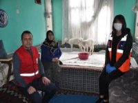 Onun Derdi Kuzuları