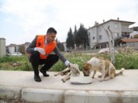 Menderes’te Sokak Hayvanları Unutulmadı