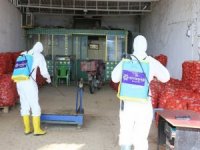 Büyükşehir Acarlar Halinde Dezenfeksiyon İşlemi Yaptı