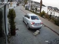 Böyle Vicdansızlık Görülmedi