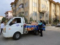 Muğla’da ‘Seyyar Manav’ Uygulaması