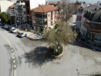 Yolun Ortasında Tek Kaldı, Görenler Şaşkına Dönüyor