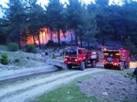 Seydikemer’de Orman Yangını