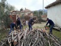 Şehit Annesinin Odunlarını Jandarma Kırdı