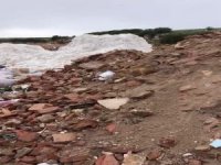 Kafası Konserve Kutusuna Sıkışan Yavru Köpeğin Yardımına Jandarma Yetişti