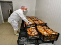 Büyükşehir Gıda Paketlerine Kavurma Da Ekledi