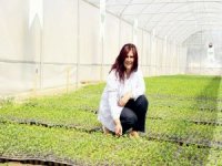 Aydın Büyükşehir Belediyesi, Gıda Sorunu Yaşanmaması İçin Harekete Geçti