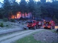 Muğla’da Orman Yangınları Erken Başladı