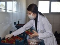 Aliağalıların Gıda İhtiyaçları Tek Tıkla Kapılarına Ulaşıyor