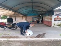 Ortaca’da Sokak Hayvanları Aç Ve Susuz Kalmıyor