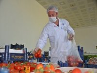 Vatandaşlardan Aliagasemtpazari.com’a Yoğun Talep