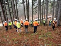 Ormanda İşbaşı Eğitimi