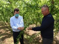 Kaymakam Şahin Tarım Üreticilerini Ziyaret Etti
