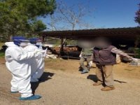 Uşak’ın Karahallı İlçesinde Filyasyon Çalışması Başlatıldı