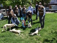 Sokak Hayvanları Unutulmadı